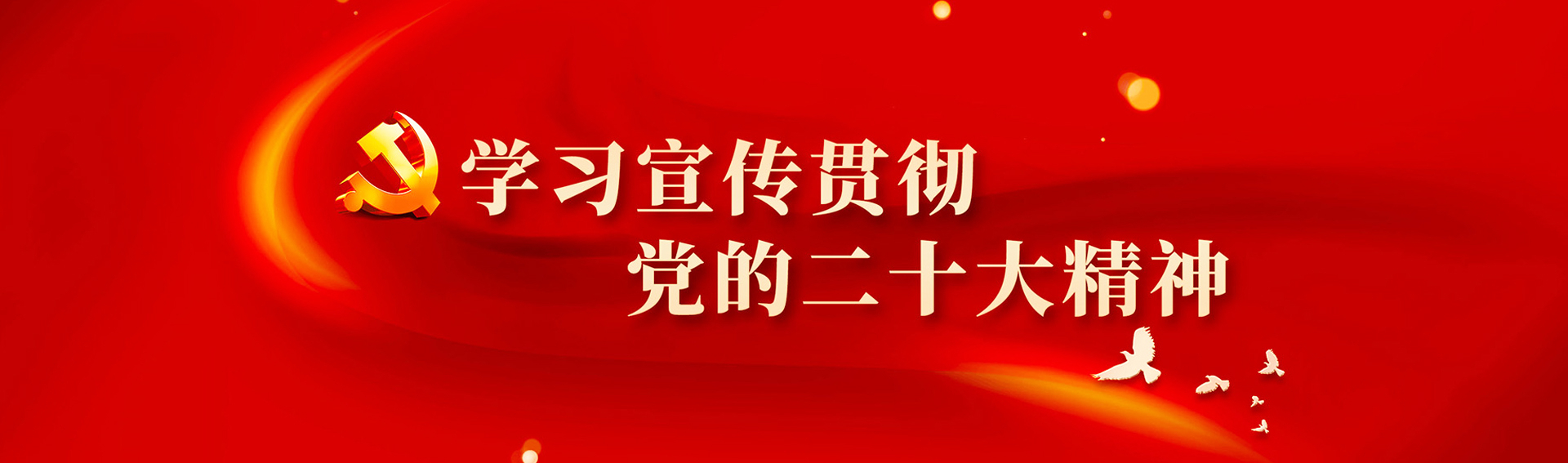 深入学习贯彻二十大精神